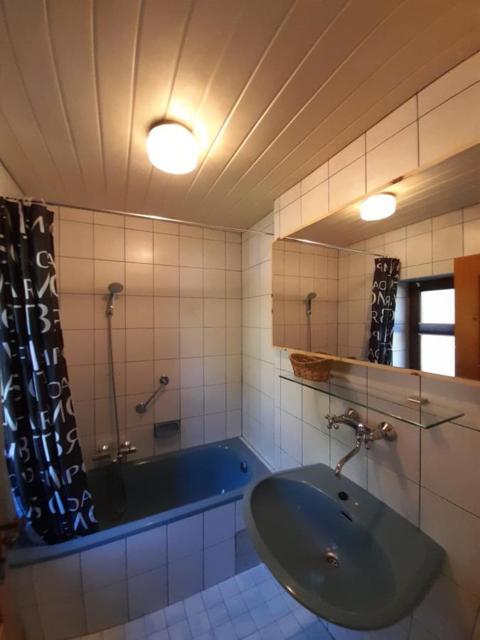 Appartement Miniponyhof Biohof Almbauer à Waidhofen an der Ybbs Extérieur photo