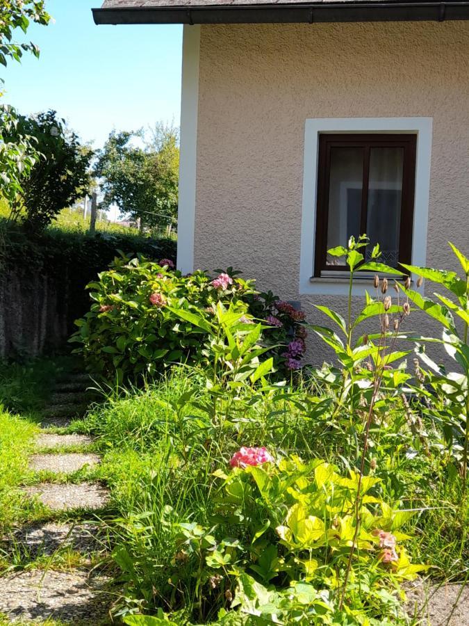 Appartement Miniponyhof Biohof Almbauer à Waidhofen an der Ybbs Extérieur photo